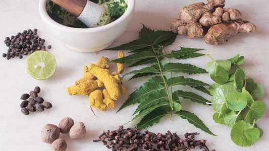Why Home Remedies Are Still A Popular Choice Over Chemical Therapies