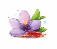 Saffron